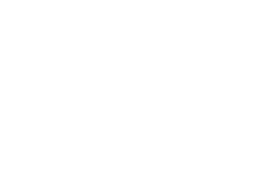 logo WGS